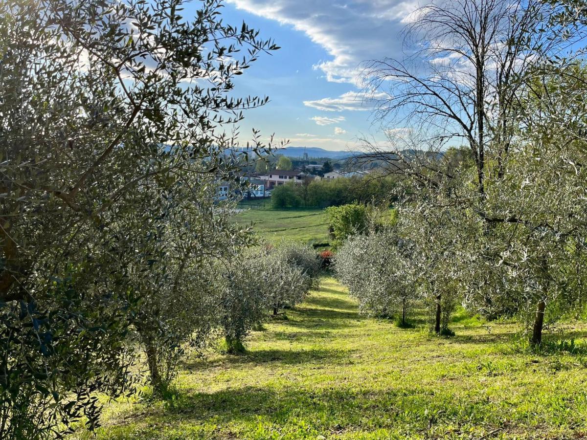 Il Nido Di Margherita Villa San Giovanni Valdarno Luaran gambar